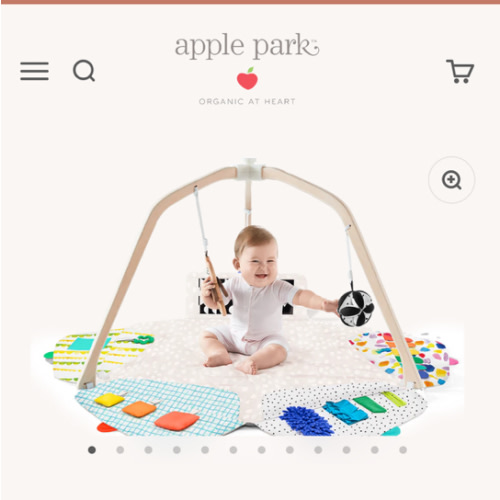 The Play Gym