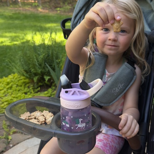 Strolee Snack Tray