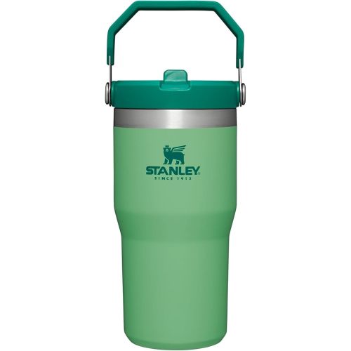 Stanley IceFlow Flip Straw Tumbler with Handle 20 oz | Twist On Lid and Flip Up Straw | Leak Resistant Water Bottle | Insulated Stainless Steel |BPA-Free | Jade