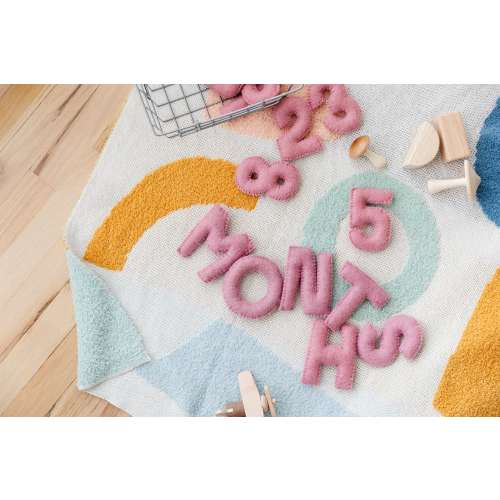 Baby Monthly and Weekly Milestone Numbers Set in Blush Pink