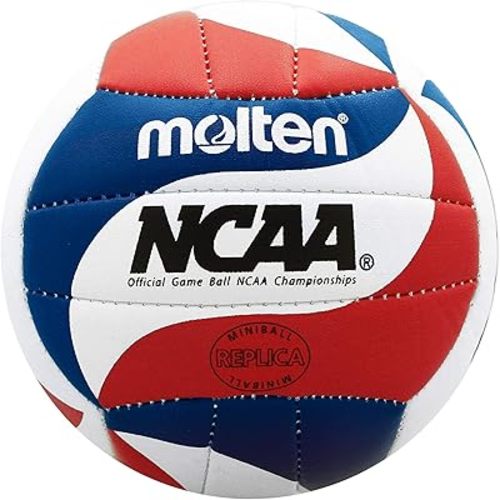 Molten Mini Volleyball