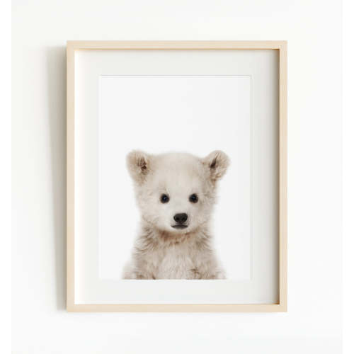 Baby Polar Bear