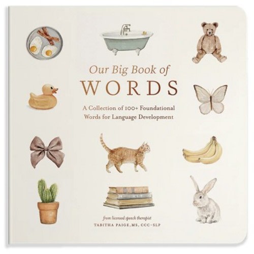 Our Big Book of First Words - (Our Little Adventures) by  Tabitha Paige (Board Book)