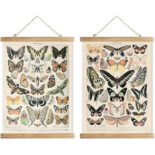 XIAOAIKA 2 Pack Vintage Butterfly Poster - Cottagecore Room Decor Aesthetic - Classic Lepidoptera Wall Art with Wooden Frame - Educational Decor for Nature Enthusiasts and Collectors 16 x 23 inches