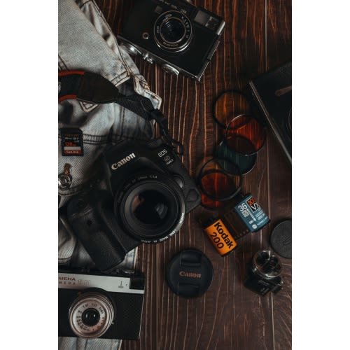 Family Photo Session