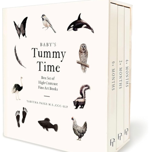Amazon.com: Baby's Tummy Time Book Box Set: A 3-Book Box Set of High-Contrast Art for Visual Stimulation at Tummy Time (Our Little Adventures Series): 9781958803899: Paige, Tabitha, Paige Tate & Co.: Books