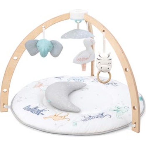Play & Discover Baby Activity Gym