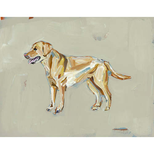 "Yellow Lab" tan print