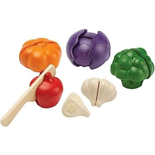 PLAN TOYS Plantoys- Eco-friendly Educational Toy, Multi-Color (3431)