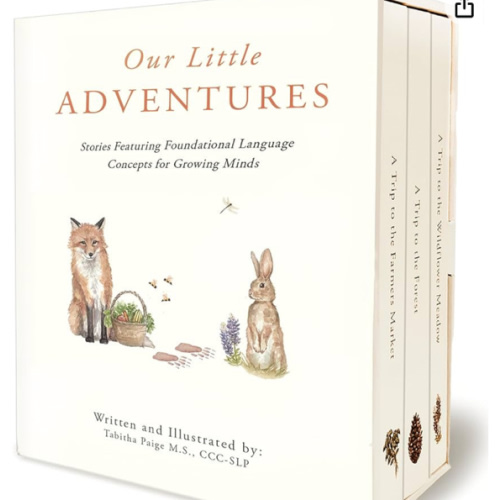 Our Little Adventures: Stories Featuring Foundational Language Concepts for Growing Minds (Our Little Adventures Series)