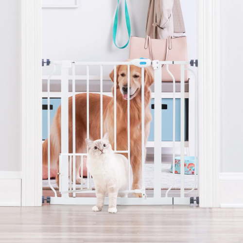 Carlson Pet Products Large Inside House, 31"H Extra-Wide Walk Through Metal Dog Pet Gate, with Small Door, White