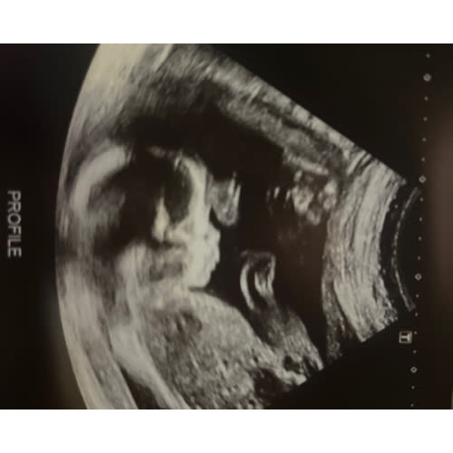 Babylist Shop Gift Card