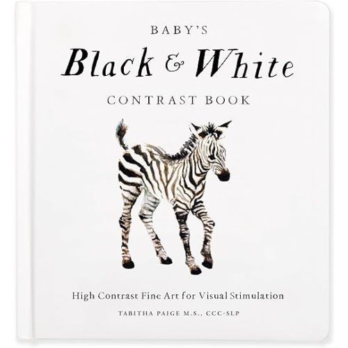 Baby's Black and White Contrast Book: High-Contrast Art for Visual Stimulation at Tummy Time (Our Little Adventures Series) Board book – Picture Book, August 1, 2023