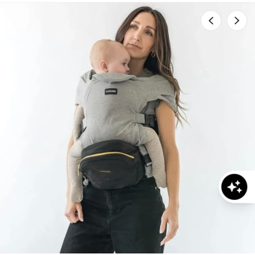 2-in-1 Convertible Carrier