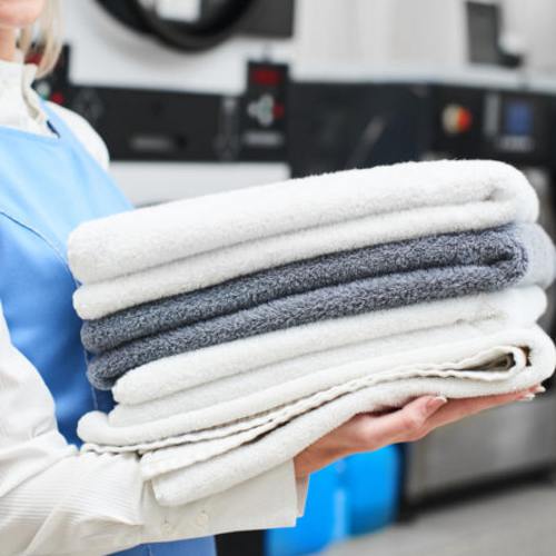 Laundry Delivery Service