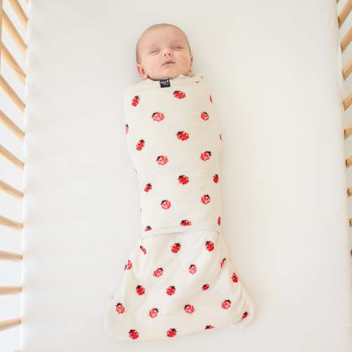 Sleep Bag Swaddler in Love Bug