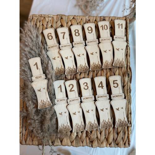Duck Hunter Nursery, Duck Hunter milestone, Duck Hunter Baby Announcement, Duck Call Monthly Milestone, Mallard Calls