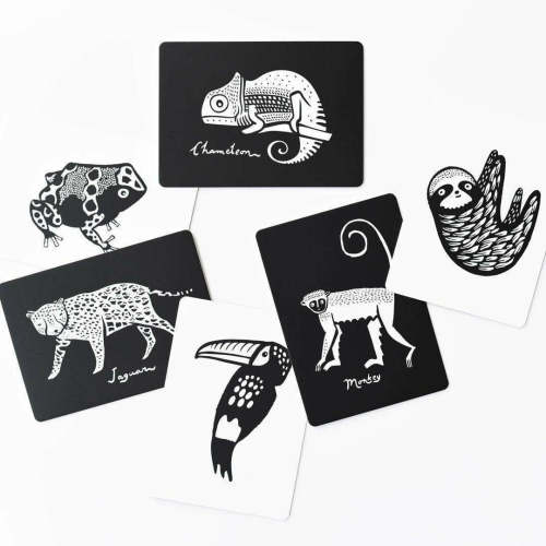 Wee Gallery Art Cards For Baby