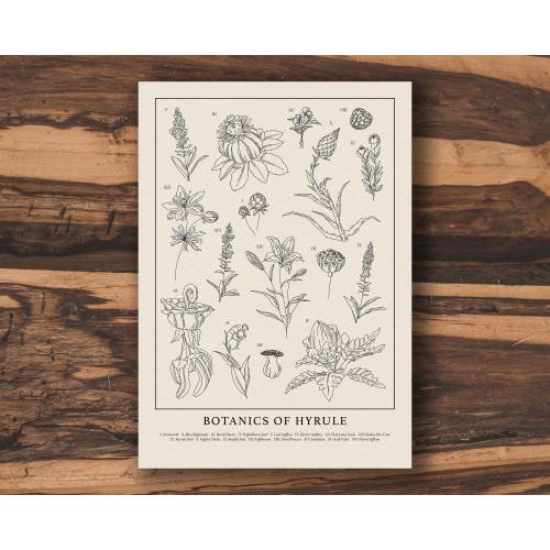 Botanics of Hyrule - Black and White | Vintage Botanical Legend of Zelda TOTK Tears of the Kingdom A5 / A4 / 50x70 Print