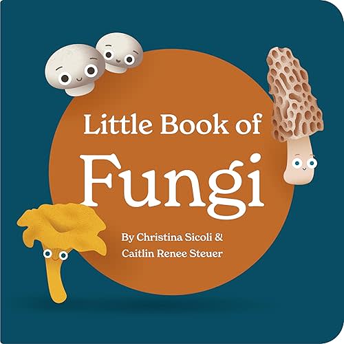 Chunky Deli Little Book of Fungi Board Book for Babies and Toddlers Exploring Mushroom Facts and Clever Rhymes Classroom Must Have Learning Resource Baby 0-12 Months Toddler Ages 1-4 Board book – December 1, 2023