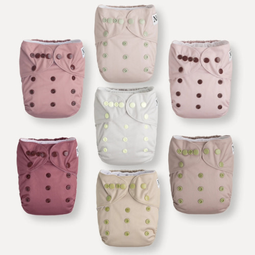 Cloth reusable diapers- Ballet Slippers