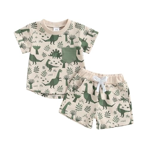 SHIBAOZI Toddler Infant Baby Boy Summer Dinosaur Outfit Newborn Kids Boys Short Sleeve T-shirt Spring Shorts Set