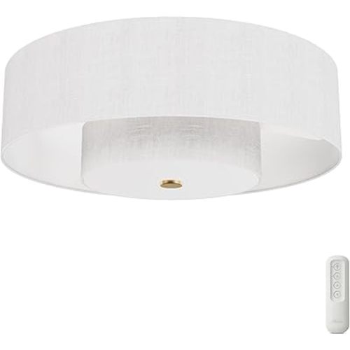 Hunter - Brookside Indoor Fandelier with Light, Remote, 30-inch, Casual-Style, 3-Speed WhisperWind Motor, 52974, Ceiling Fans for Living Rooms, bedrooms, Home Offices, Kitchens (Luxe Gold)