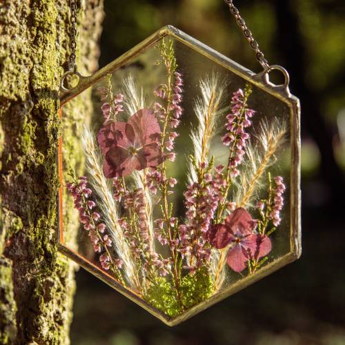 Pressed flower suncatcher, original artwork - real wildflower in frame, pressed flower wall art, original and unique gift