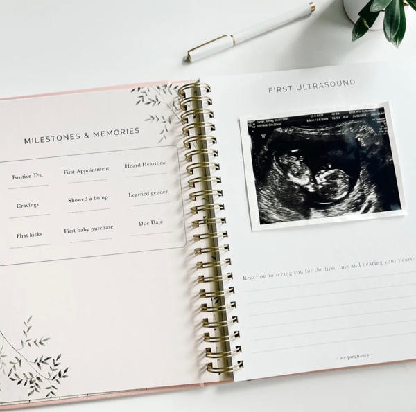 Pregnancy + Baby Combo Book - Sand