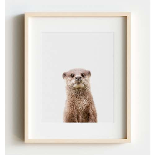 Baby Otter