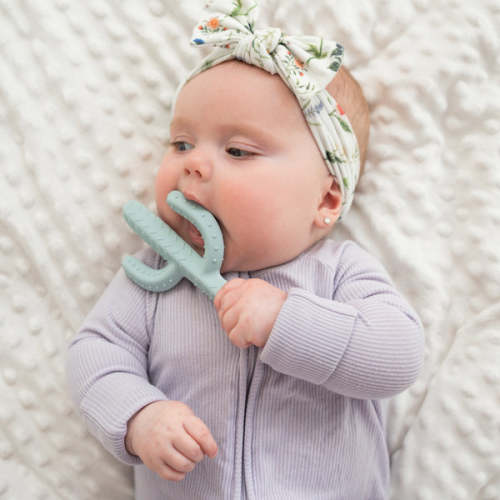 Cactus Teether Toy