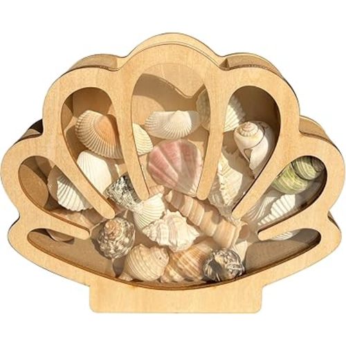 Wooden Seashell Display Case with Acrylic Window, Sea Shell Holder, Sea Glass Shark Tooth Starfish Storage Collection Shadow Box, Memory Keepsake Box, Coastal Home and Room Decor