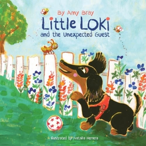 Little Loki and the Unexpected Guest | Parnassus Books