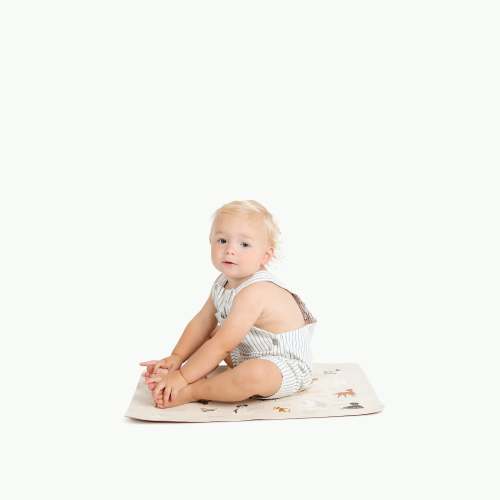 Micro Baby Changing Mat in Dogs