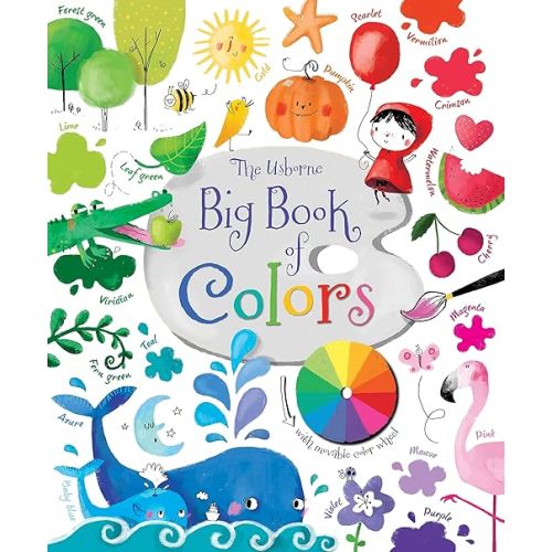 Big Book of Colors (Big Books) Board book – June 27, 2023