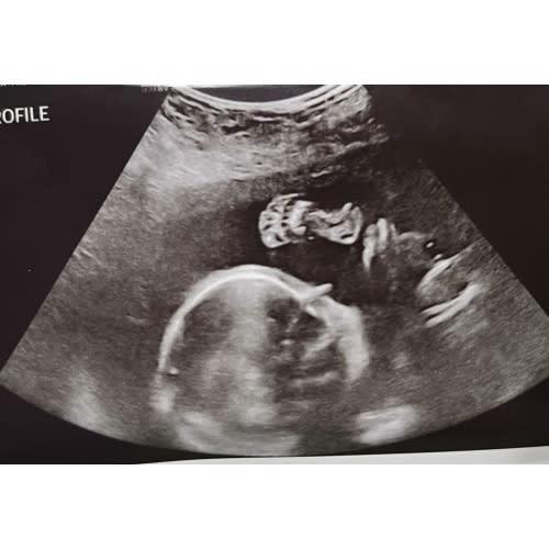 Babylist Shop Gift Card