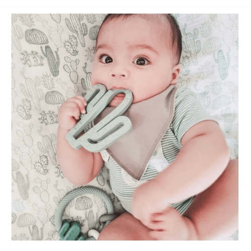 Itzy Ritzy Cactus Chew Crew Teether