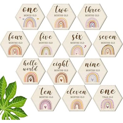 13 Pcs Wooden Baby Shower Milestone Blocks Cards Wood Baby Shower Month Signs Discs Boho Double Side Print Marker Gift Photo Prop Disc Set Birth Announcement for Baby Shower Newborn(Rainbow)