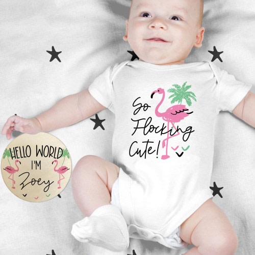 Flamingo Baby Shower Gift - Pink Baby Girl Clothing - New to the Flock - Baby Girl Gift Set - Personalized Outfits - Flamingle Baby Gift Box