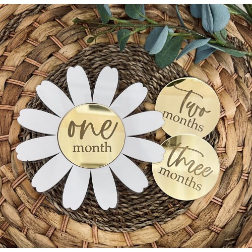 Acrylic Baby Milestone Marker Daisy Milestone Discs Interchangeable Milestone Card Baby Photo Prop Daisy Baby Girl Milestone Set First Year