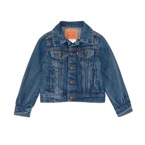 Levi's® Little Boys Denim Trucker Jacket