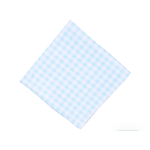 Baby Checks Swaddle Blanket - Blue