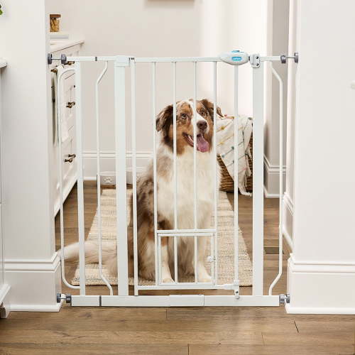 Carlson Extra Tall Metal Walk Through Pet Gate with Small Pet Door and Extension Kit, 36" H x 29"-36.5" W