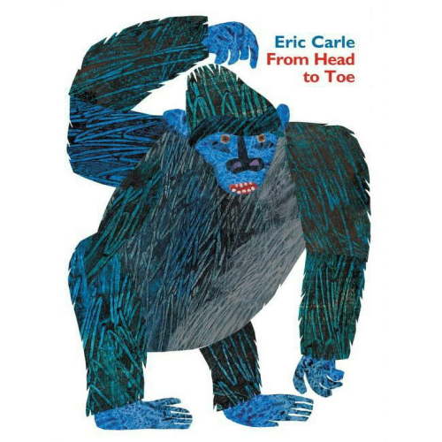 From Head to Toe Padded Board Book, (Board Book)