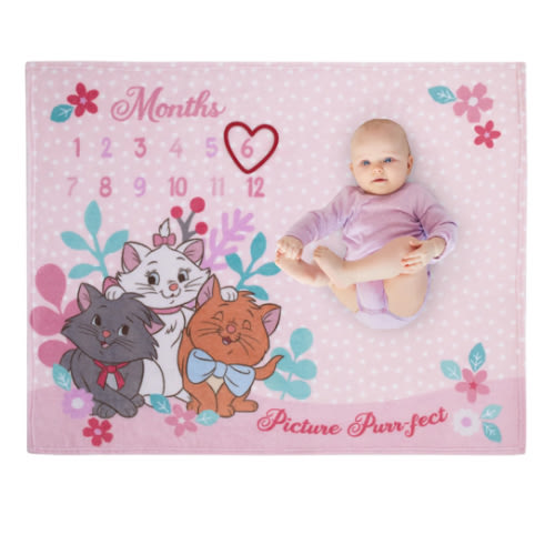 Disney Aristocats Pink Picture Purr-fect Super Soft Photo Op Milestone – NoJo Baby