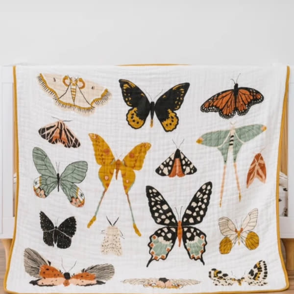 Butterfly Essential Bundle