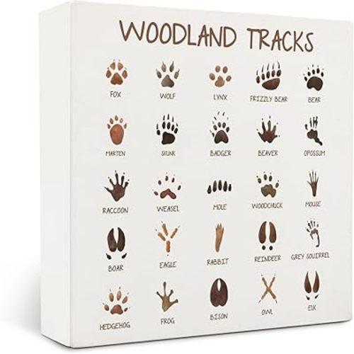 Woodland Tracks Wooden Box Sign,Woodland Nursery Decor,Animal Tracks Field Guide Sign,Forest Nursery Decor, Boy Nursery Wall Decor, Jungle Nursery Decor For Kids 5x5 Inches