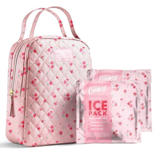 Fit & Fresh Insulated Bottle & Beyond Bag - Baby Bottle Cooler w/Ice Packs | Insulated Breast Milk Cooler Bag for Daycare & Travel, Fits (3) 9 oz Baby Bottles Upright, Keeps Breast Milk & Formula Cold