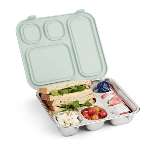 Stainless Steel Bento Lunch Box with Silicone Lid (Sage)
