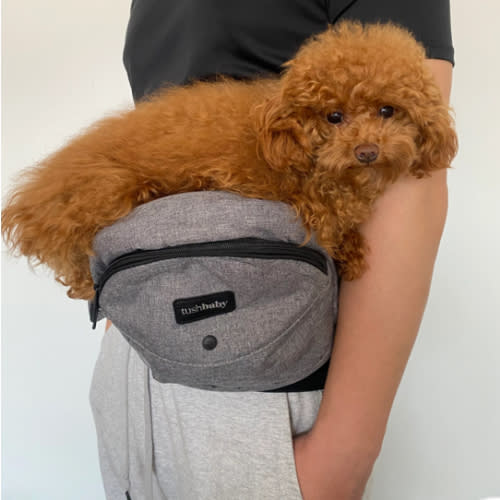 Tushbaby Hip Carrier